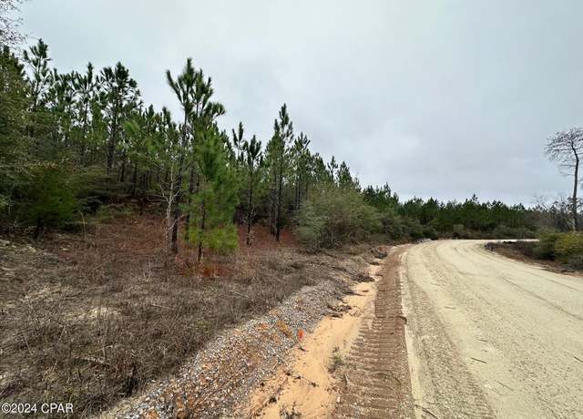 Property at Tract 6418 Mattox Spg Unit Southern Winds, Caryville, FL 32427