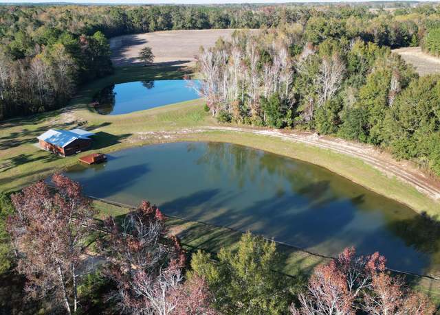 Property at 1007 Whitaker Rd, Graceville, FL 32440, 4 beds, 2 baths