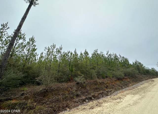 Property at Tract 6418 N Mattox Springs Rd #1, Caryville, FL 32427