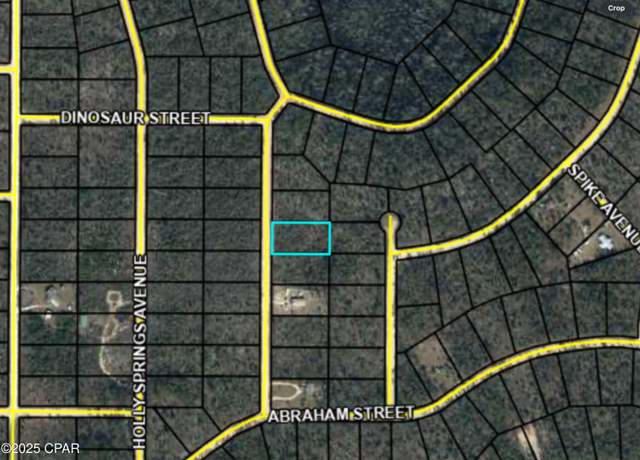 Property at 0000 Chattahoochee Ave, Alford, FL 32420