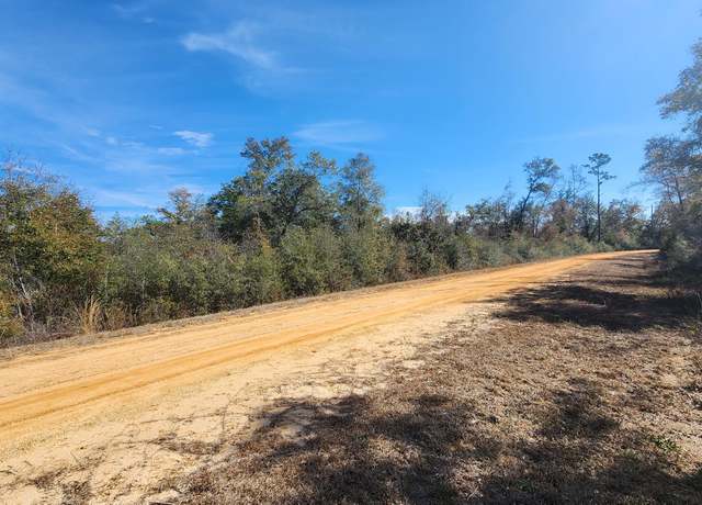 Property at 0 Fargo Dr Lot 14, Alford, FL 32420