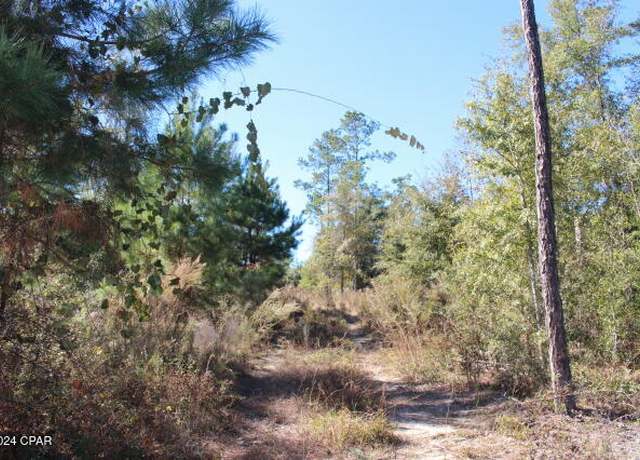 Property at 0 Davenport Rd, Marianna, FL 32448