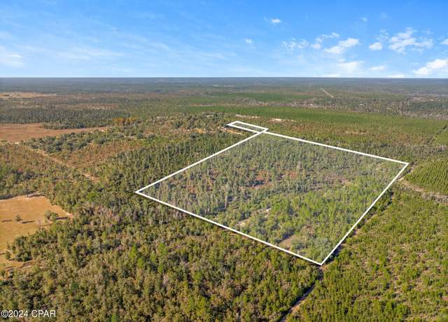 Property at TBD NW Cr-274, Altha, FL 32421