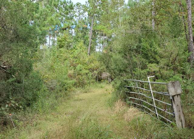 Property at 00 Buttercup Ln, Marianna, FL 32446