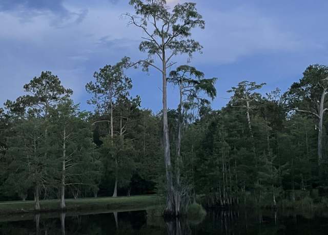Property at 1197 Plum Ave, Chipley, FL 32428