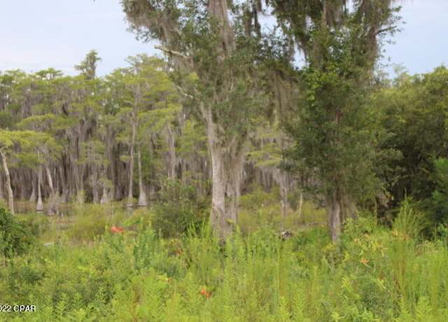 Property at 21558 NW Lake Mckenzie Blvd, Altha, FL 32421