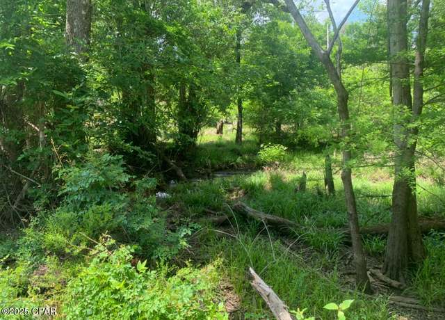Property at 0 Ayers Cem Rd, Blountstown, FL 32424