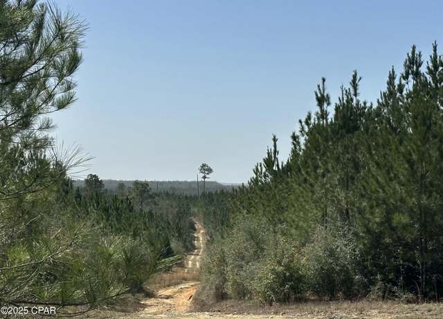 Property at Tract#6416 S Douglas Ferry Rd, Caryville, FL 32427