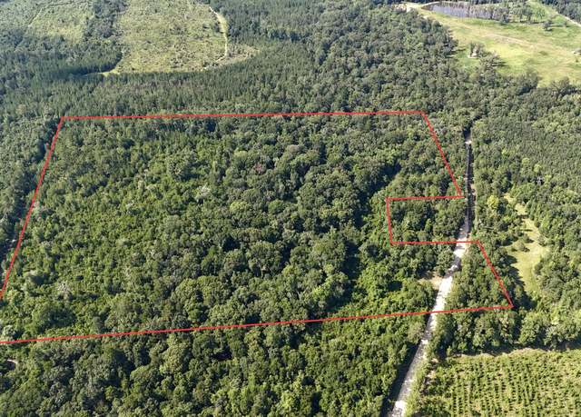 Property at 37+Acres Ten Mile Rd, Bonifay, FL 32425