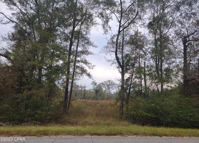 Property at 00 Pioneer Rd, Chipley, FL 32428