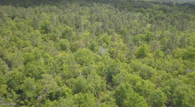 Photo of 0000 Reedy Creek Crk, Alford, FL 32420