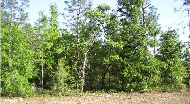 Photo of 1 Highway 167, Fountain, FL 32409