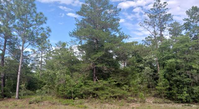 Photo of Lot 16 Statler Ave, Chipley, FL 32428