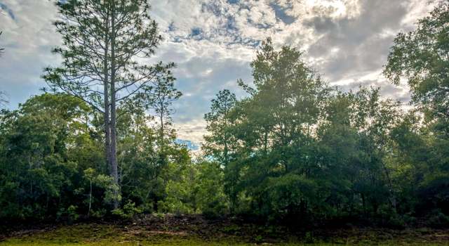 Photo of Lot 19 Velvet Dr, Chipley, FL 32428