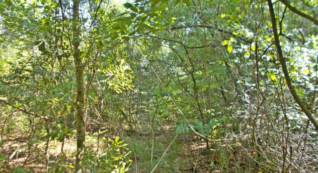 Photo of oo Mingo Ln, Cottondale, FL 32431