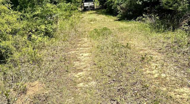 Photo of 0 Parker Rd, Grand Ridge, FL 32442