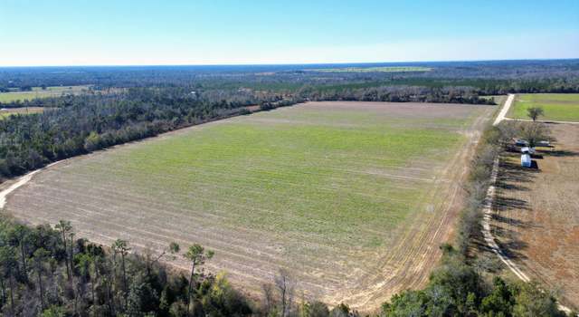 Photo of 0 NE County Road 69a, Blountstown, FL 32424