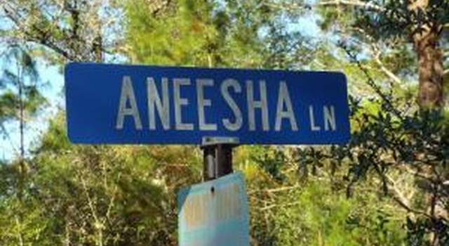 Photo of 25413 NW Aneesha Ln, Fountain, FL 32438
