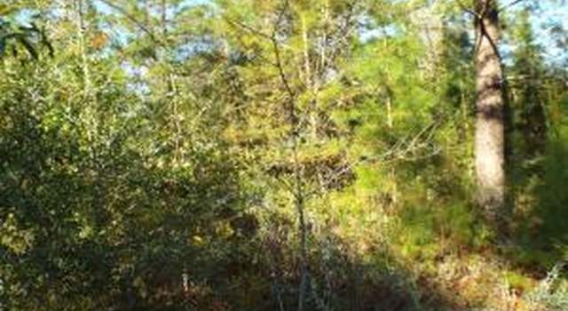 Photo of 25413 NW Aneesha Ln, Fountain, FL 32438