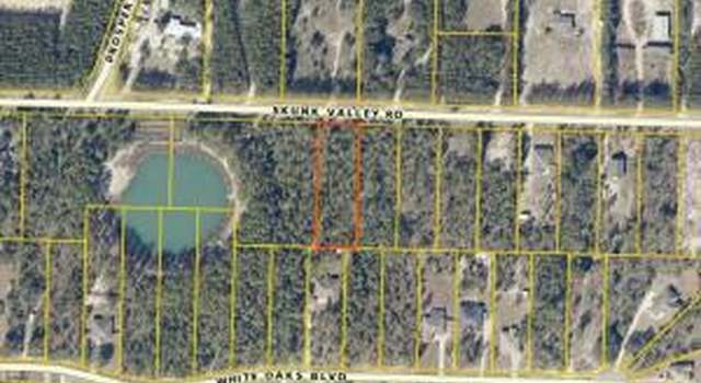 Photo of 740 Skunk Valley Rd, Southport, FL 32409