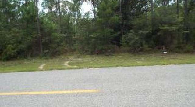 Photo of 740 Skunk Valley Rd, Southport, FL 32409