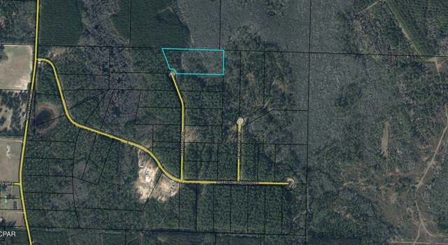 Photo of Lot 21 Oakwood Ct, Vernon, FL 32462