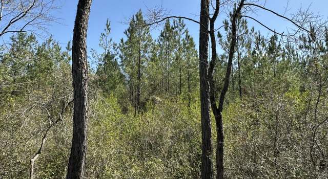 Photo of Tract#6417 North Brock Rd, Caryville, FL 32427