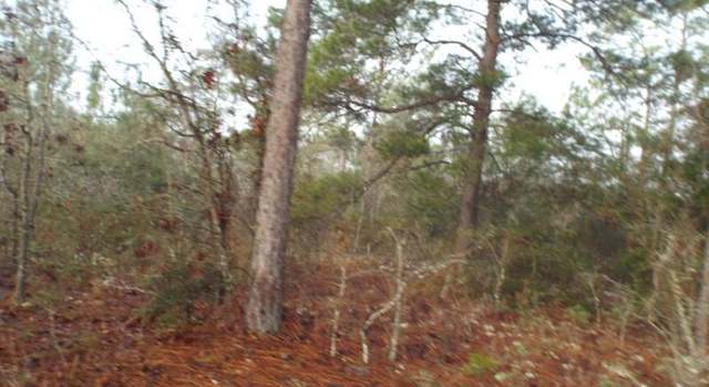 Photo of 0 Hero Rd, Chipley, FL 32428
