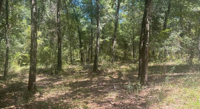 Photo of 00 Dove Ct, Chipley, FL 32428