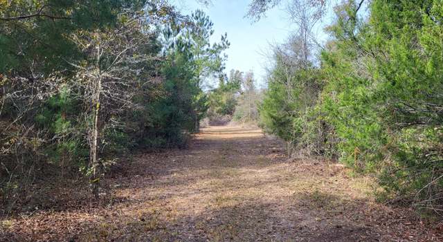 Photo of 00 Tommy Tucker / Womble Rd Lot 6, Altha, FL 32421