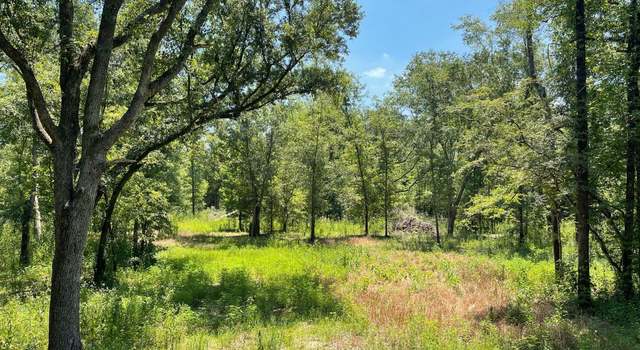 Photo of 0 Paront Rd, Grand Ridge, FL 32442