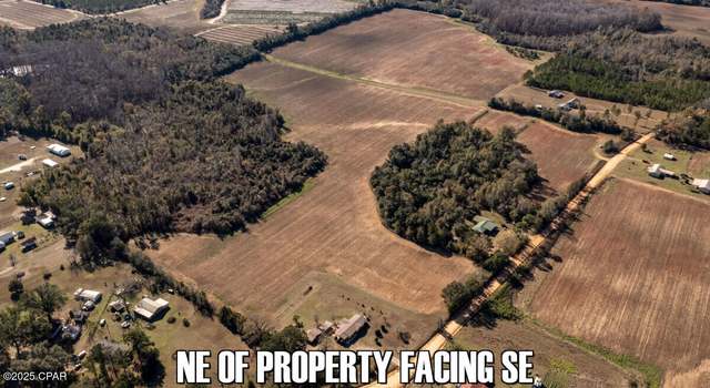 Photo of 0 Sand Basin Rd, Sneads, FL 32460