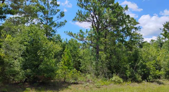 Photo of Lot 4 Upland Pl, Chipley, FL 32428