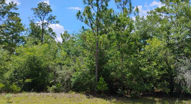 Photo of Lot 5 Upland Pl, Chipley, FL 32428