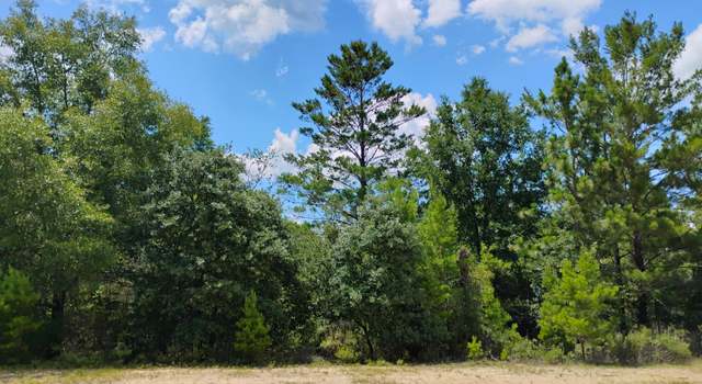 Photo of Lot 32 Concord Blvd, Chipley, FL 32428