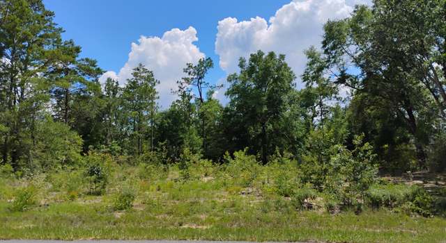 Photo of Lot 2 Walkerton Dr, Chipley, FL 32428