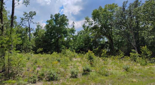 Photo of Lot 2 Walkerton Dr, Chipley, FL 32428