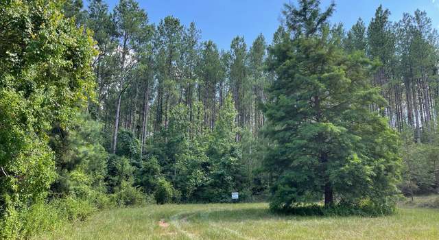 Photo of 00 Sassafras Ln, Westville, FL 32464