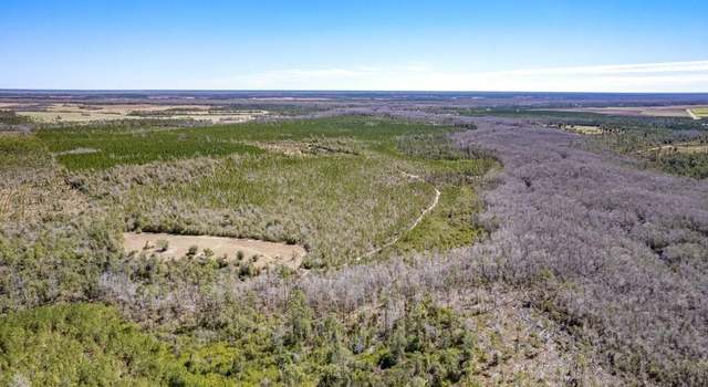 Photo of 0 S Sr 71, Wewahitchka, FL 32449