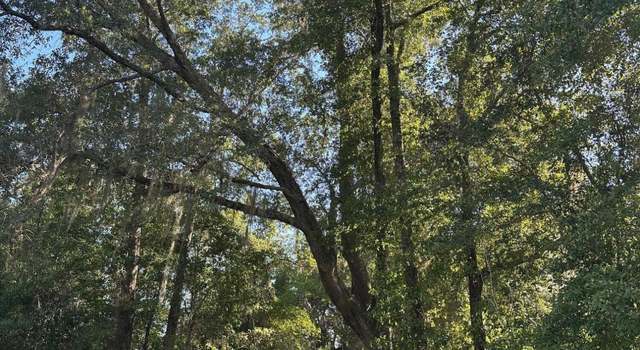 Photo of 00 Blue Springs Rd, Greenwood, FL 32443