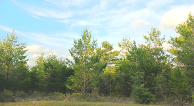 Photo of Lot 17 Tassel Ct, Chipley, FL 32428