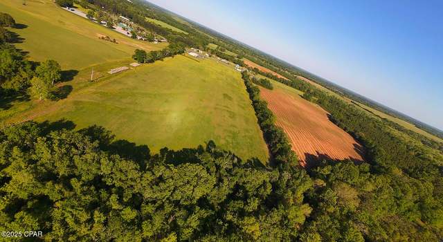 Photo of 0 Us-231, Campbellton, FL 32426