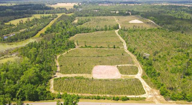 Photo of 00 Sinai Rd, Sneads, FL 32460