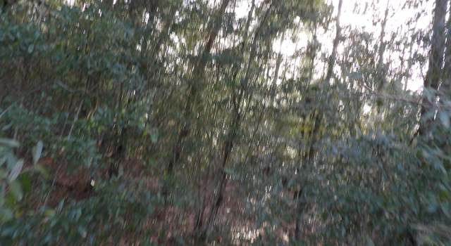 Photo of 0000 Tanglewood Rd, Fountain, FL 32438