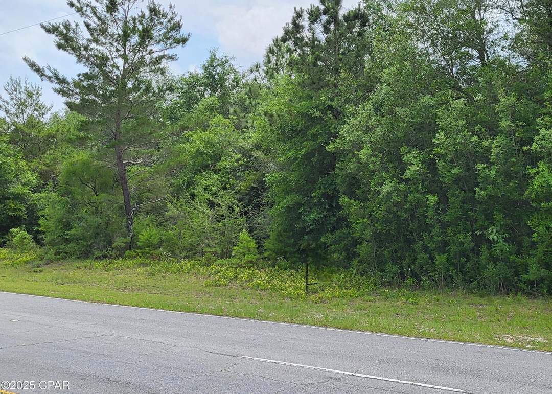 TBD Deer Ct, Chipley, FL 32428