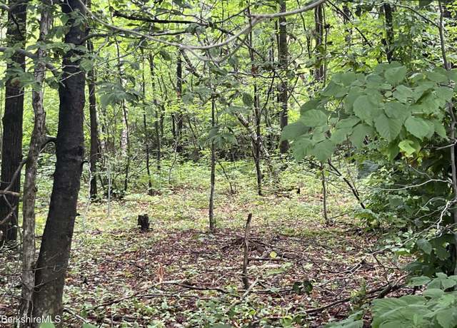 Property at 0 Middlefield Rd, Washington, MA 01223