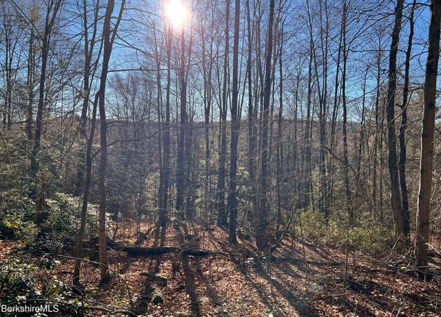 Property at 0-12-28 Werden Rd, Otis, MA 01253