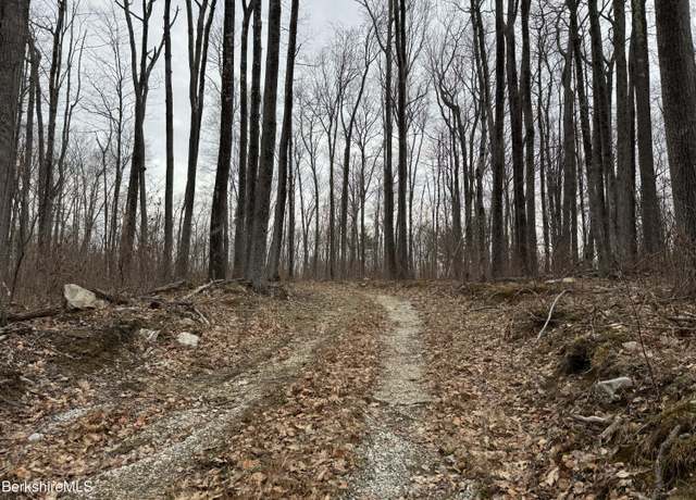Property at 0 Lake Buel Rd, Great Barrington, MA 01230