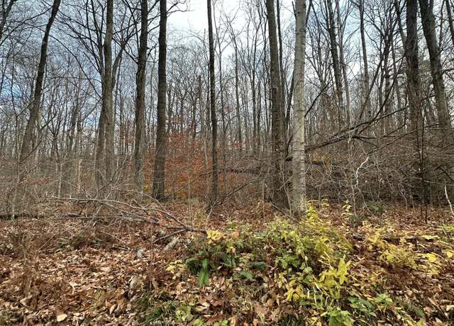 Property at 0 Kessler Rd, Lanesborough, MA 01237