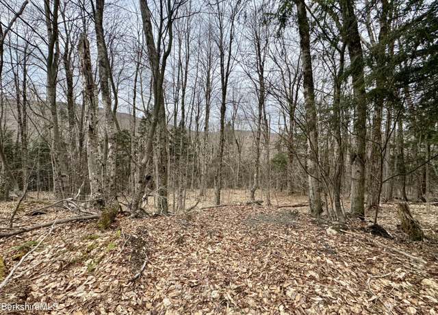 Property at 0 Turner Hill Rd, Monroe, MA 01350